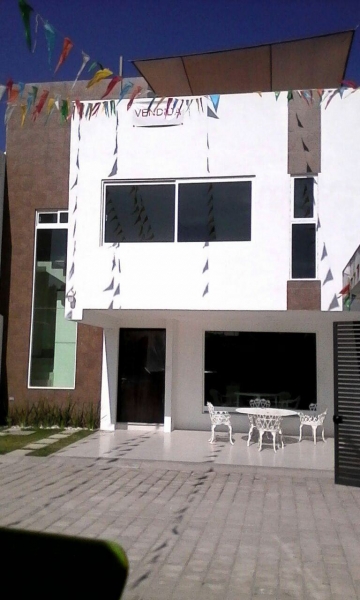 c393 - 27.jpg